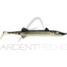Leurre souple DELALANDE Sea pike non monté 14cm x1